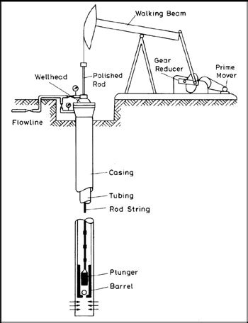 Rotation of the rod string by means of a surface drive system causes the rotor to spin within the fixed stator, creating the pumping action necessary to produce fluids to surface. . How to space out rod pump